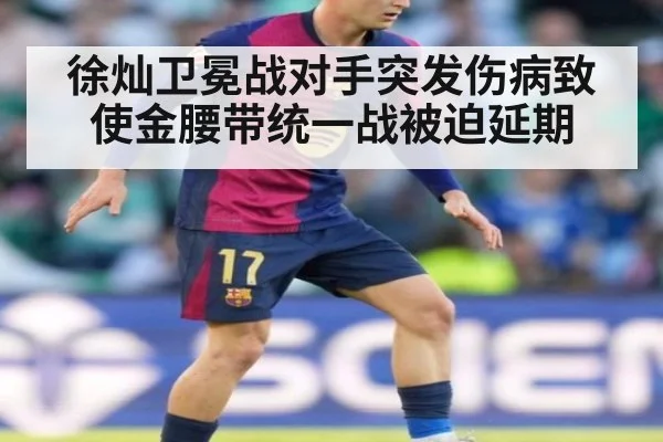 徐灿卫冕战对手突发伤病致使金腰带统一战被迫延期
